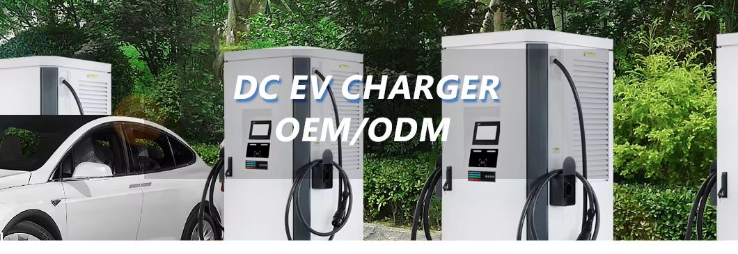 60kW~350kW CCS1/CCS2 Commercial ETL FCC Certification DC Fast Charging EV Car Charger
